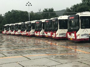 &#80;&#84;&#30495;&#20154;&#65288;&#20013;&#22269;&#65289;&#23448;&#26041;&#32593;&#31449;