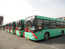 &#80;&#84;&#30495;&#20154;&#65288;&#20013;&#22269;&#65289;&#23448;&#26041;&#32593;&#31449;